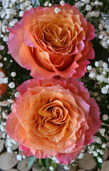 Free Spirit Rose Bouquet